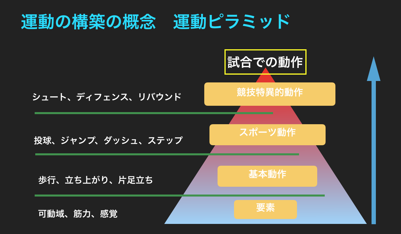 必見 パフォーマンスを上げるために必要な概念 運動ピラミッド とは Basketball Medical Support Lab