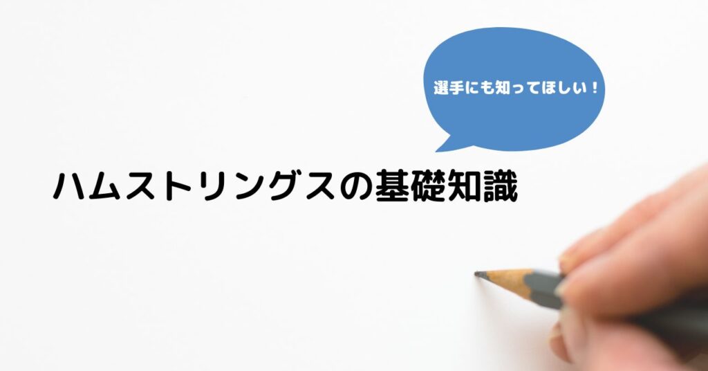 【バスケのストレッチ】『ハムストリングス』の基礎知識