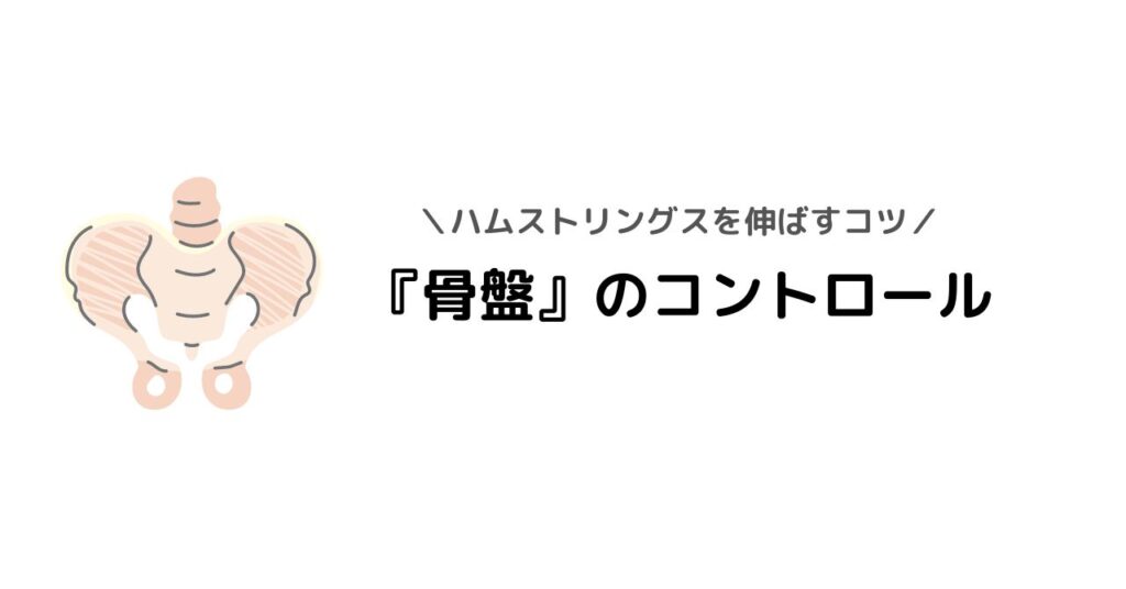 【バスケのストレッチ】ハムストリングスを伸ばすコツは『骨盤』のコントロール