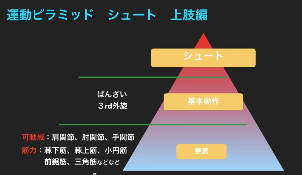 シュートに必要な肩の機能　運動ピラミッド