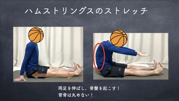 バスケのストレッチ　ハムストリングスのストレッチ方法